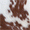 bielohnedá SB2